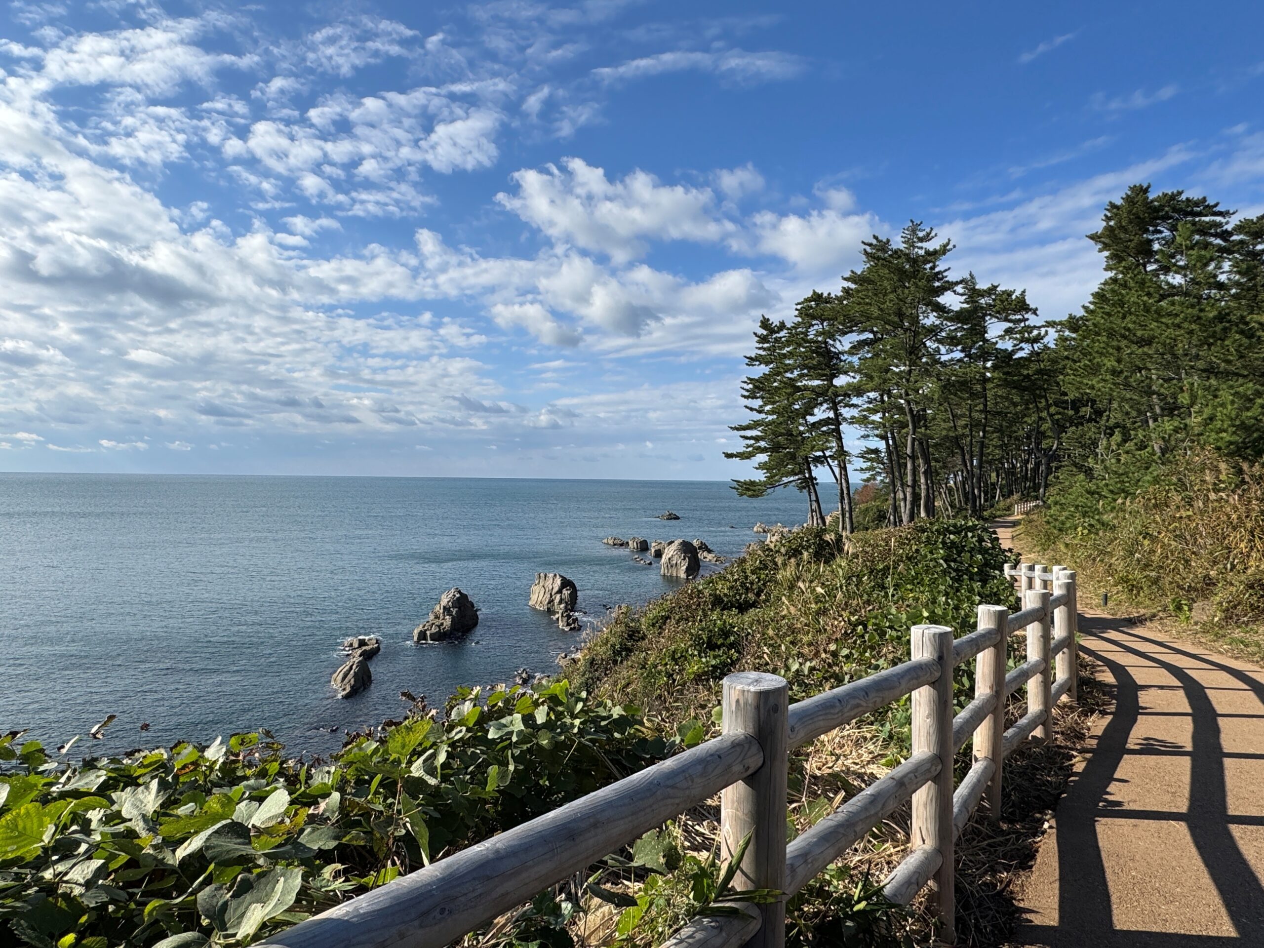 二の浜海岸の画像