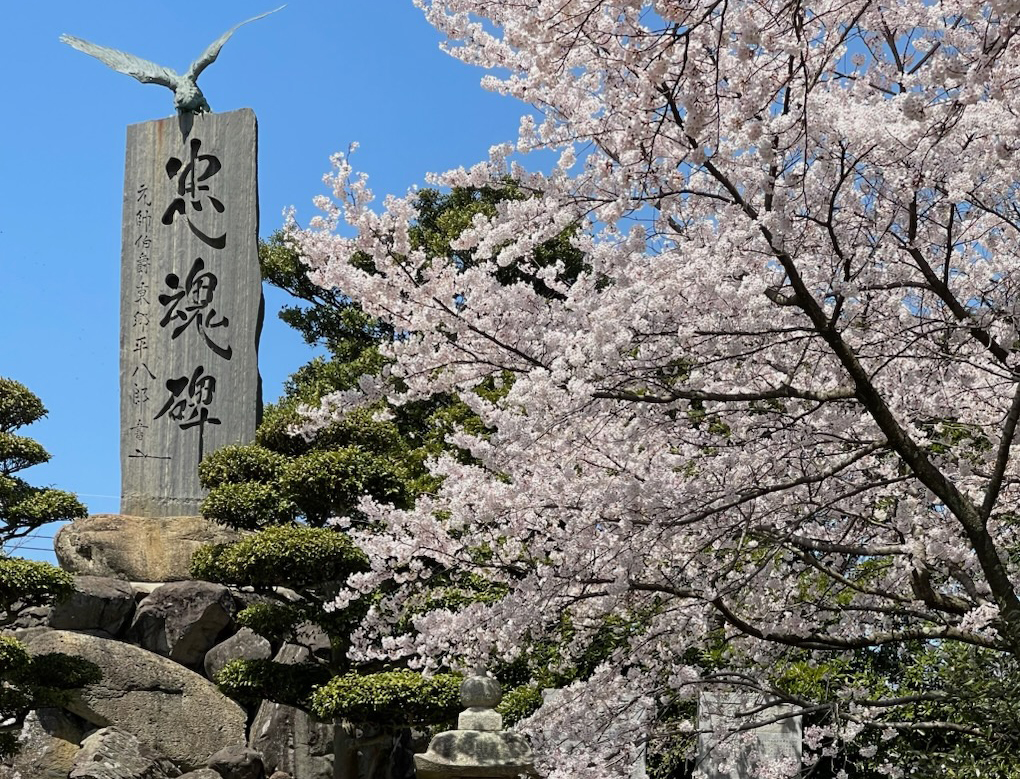 桜谷公園の画像